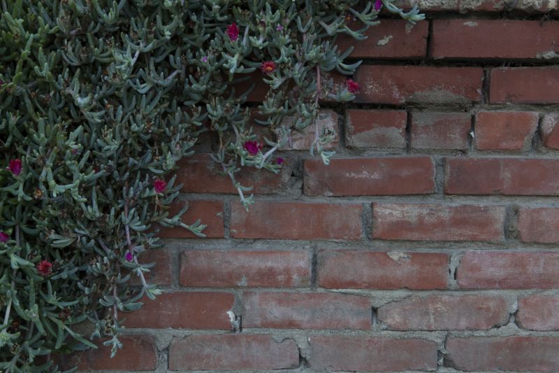 Brick Vs. Stone Tuckpointing: Key Differences For Commercial Projects